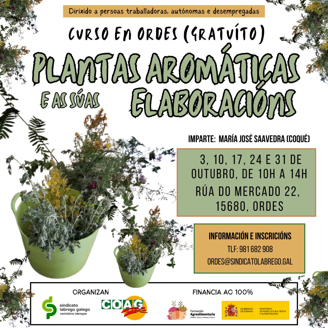 curso plantas aromáticas ordes